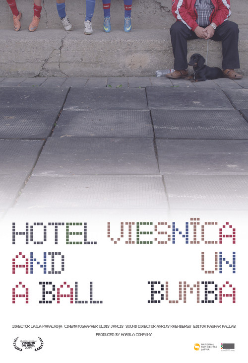 Hotel and a Ball (2014) poster