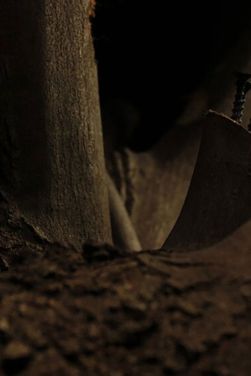 Disappearing Acts (2023) poster