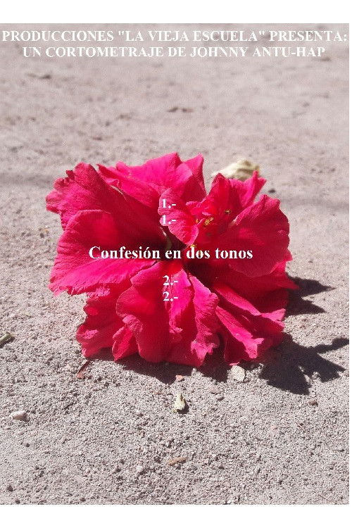 Confesión en dos tonos (2020) poster