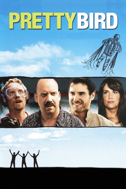 Güzel Kuş (2008) poster