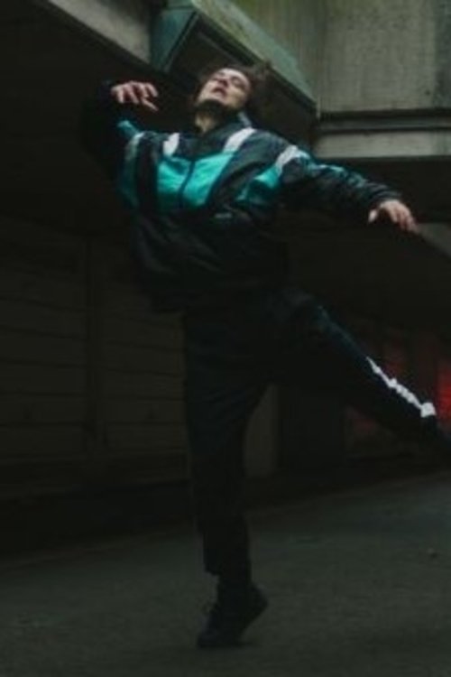 Flight (2019) poster