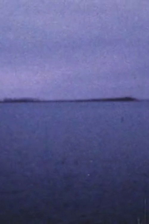 Lake Ontario (in my head) (2006) poster