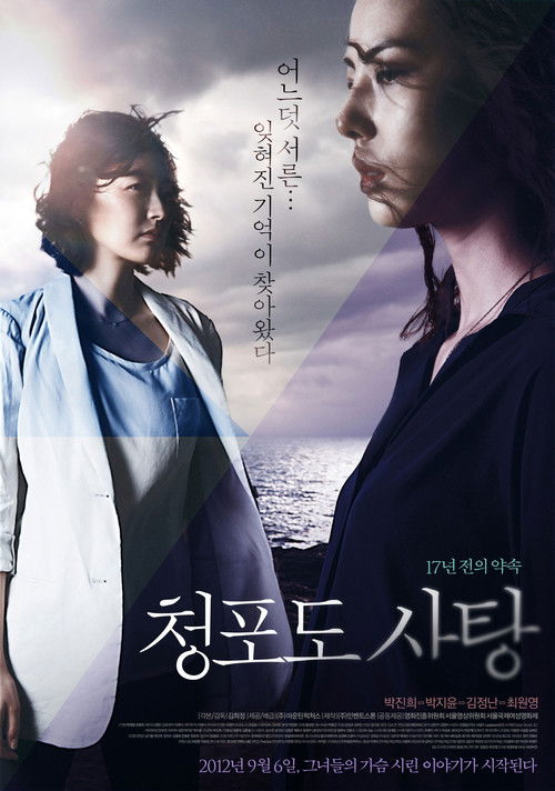 청포도 사탕: 17년 전의 약속 (2012) poster
