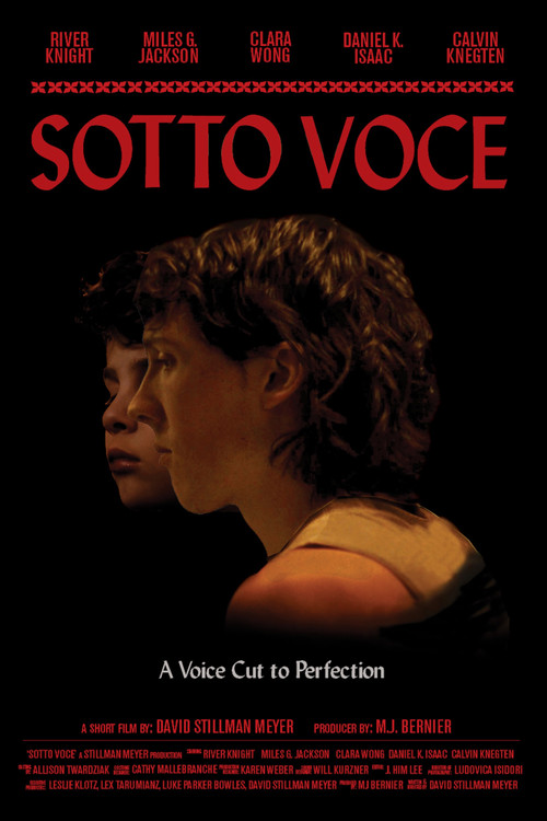 Sotto Voce poster