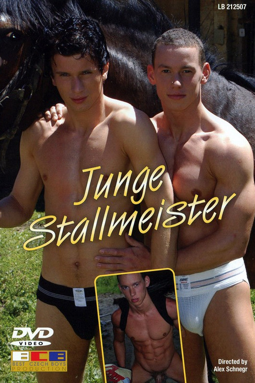 Junge Stallmeister (2005) poster