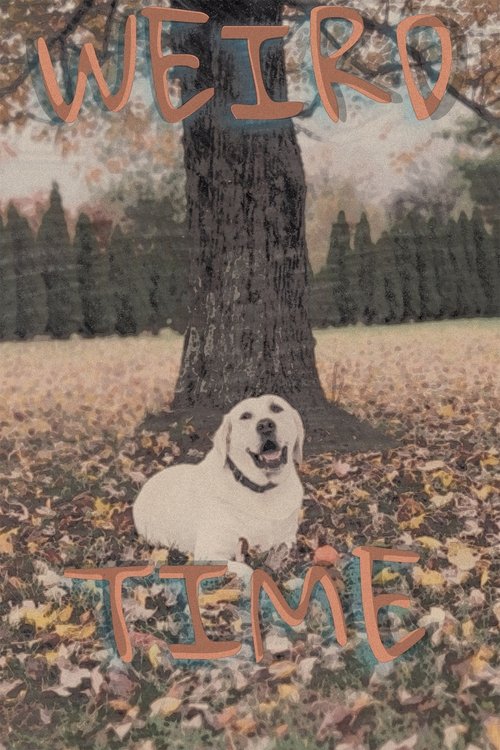 Weird Time (2025) poster