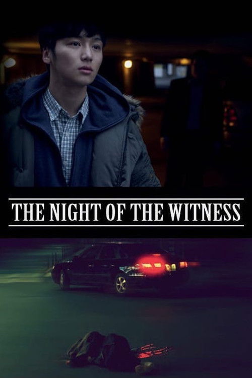 The Night of the Witness (2012) poster