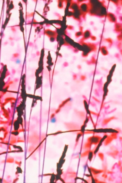 Hank and Mary Without Apologies (1969) poster