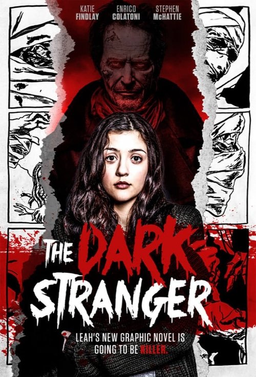 The Dark Stranger (2016) poster