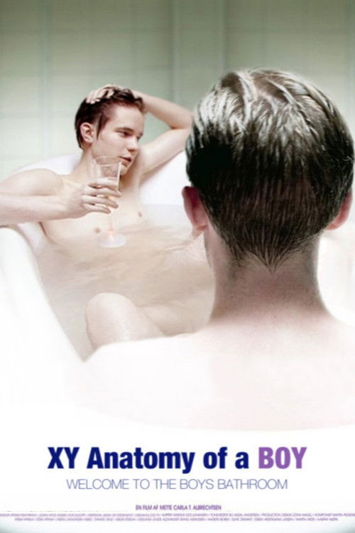 XY Anatomy of a Boy (2009) poster