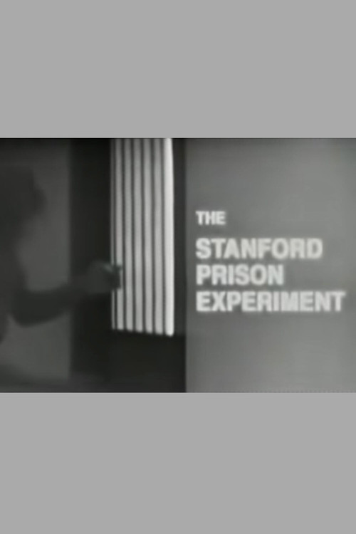 The Stanford Prison Experiment (2002) poster