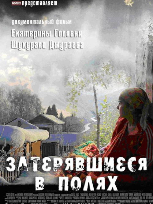 Lost in the Fields (2011) poster