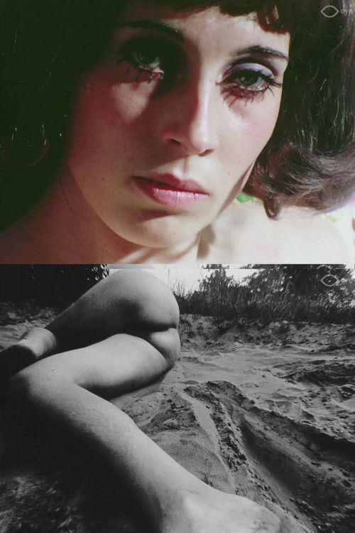 film fragments (2015) poster