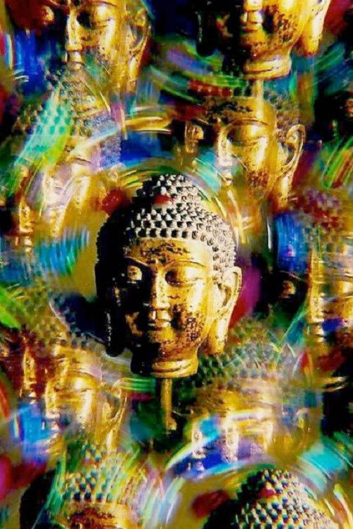 Many Buddhas (2008) poster