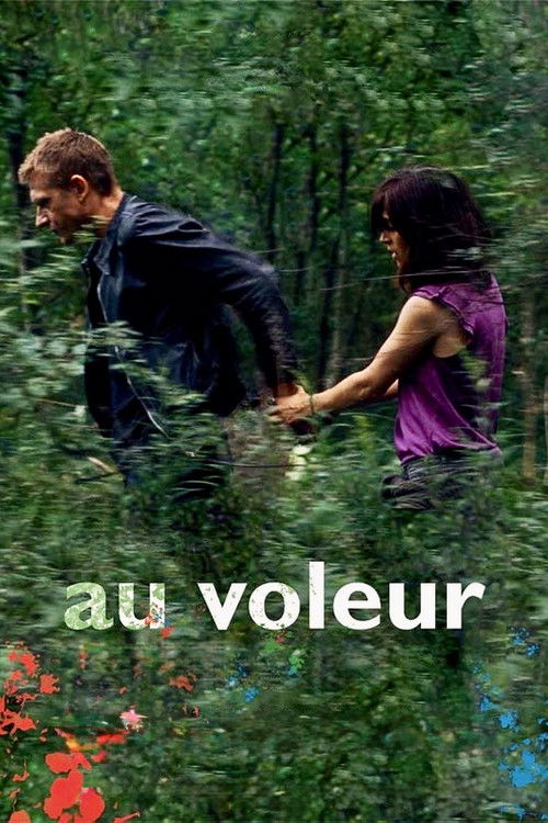 Au voleur (2009) poster