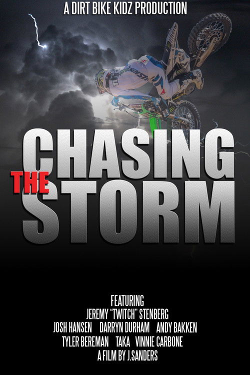 Chasing The Storm (2014) poster