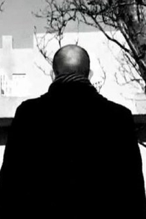 Steini's Inferno (2008) poster