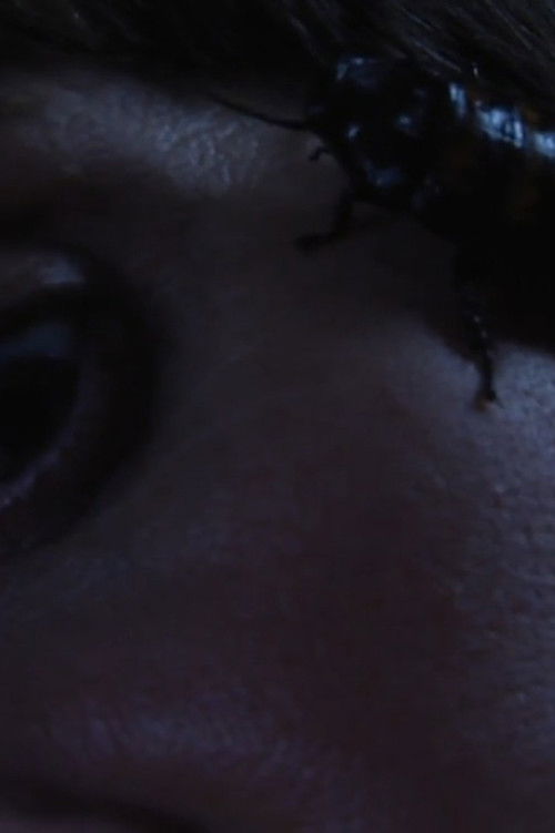 Bug Complex (2012) poster