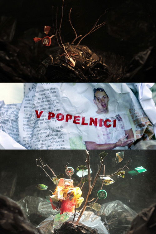 In a Dumpster (2018) poster