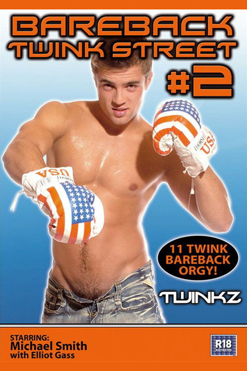 Bareback Twink Street 2 (2005) poster