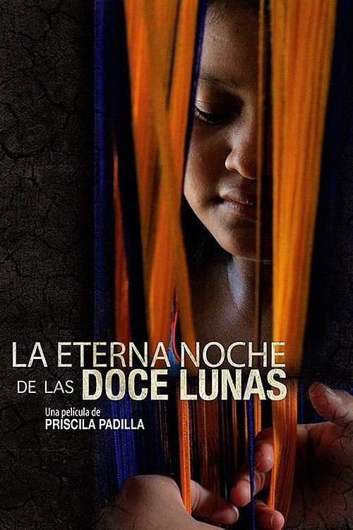The Eternal Night of Twelve Moons (2013) poster