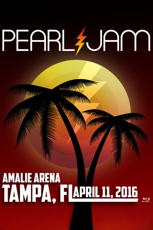 Pearl Jam: Tampa 2016 (2016) poster