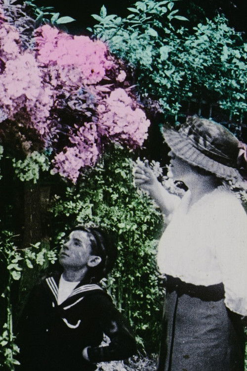 Flowers in the Garden (1914) poster