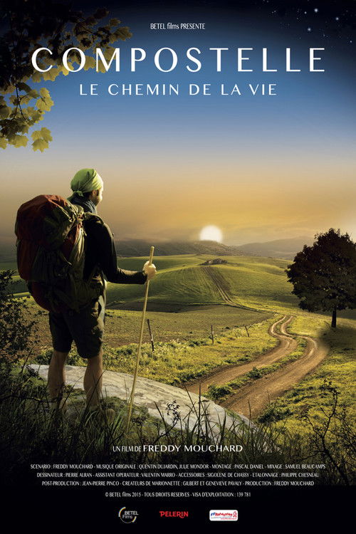 Compostelle, le chemin de la vie (2015) poster