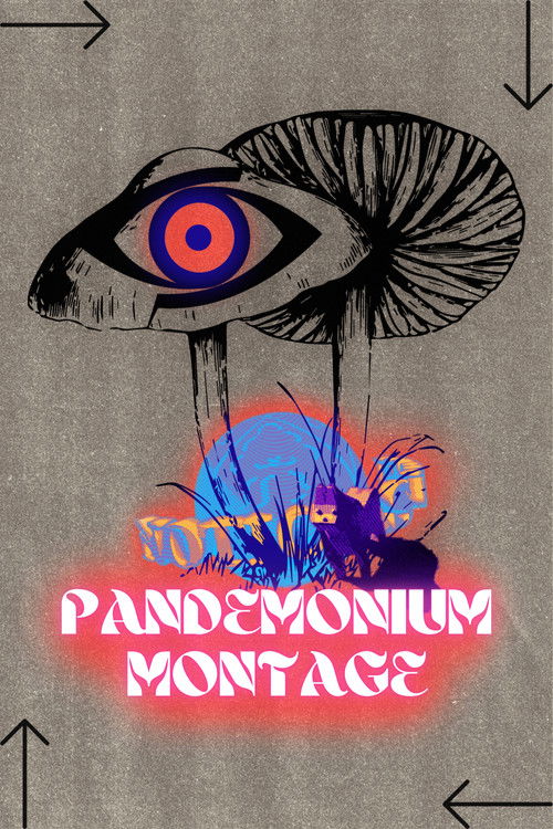 PANDEMONIUM MONTAGE (2025) poster