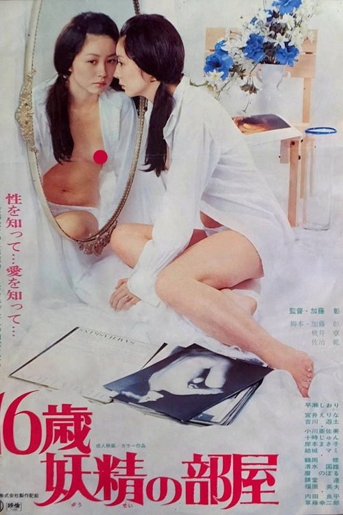 Sixteen Years Old: Nymphets' Room (1977) poster
