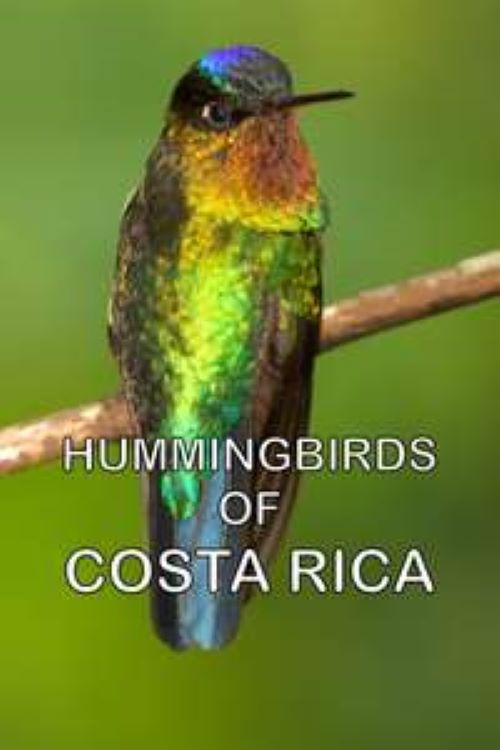 Hummingbirds of Costa Rica (2016) poster