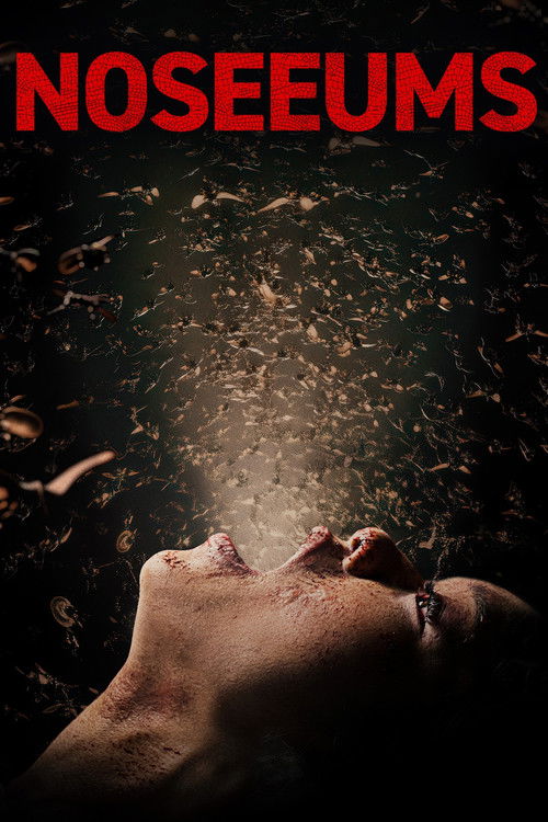 Noseeums (2025) poster