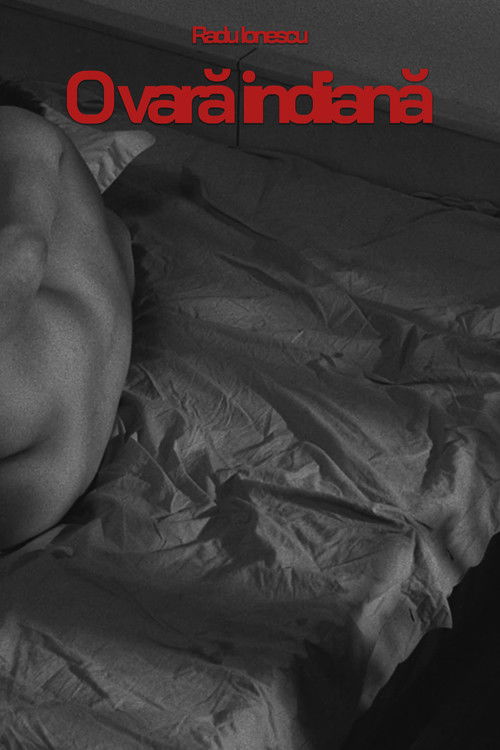 O vară indiană (1995) poster