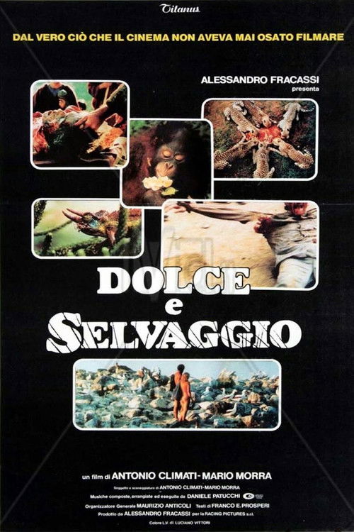 Dolce e selvaggio (1983) poster