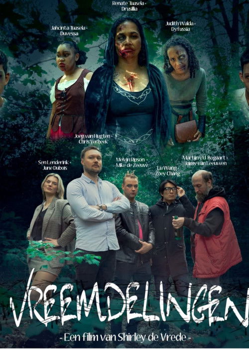 Vreemdelingen (2025) poster