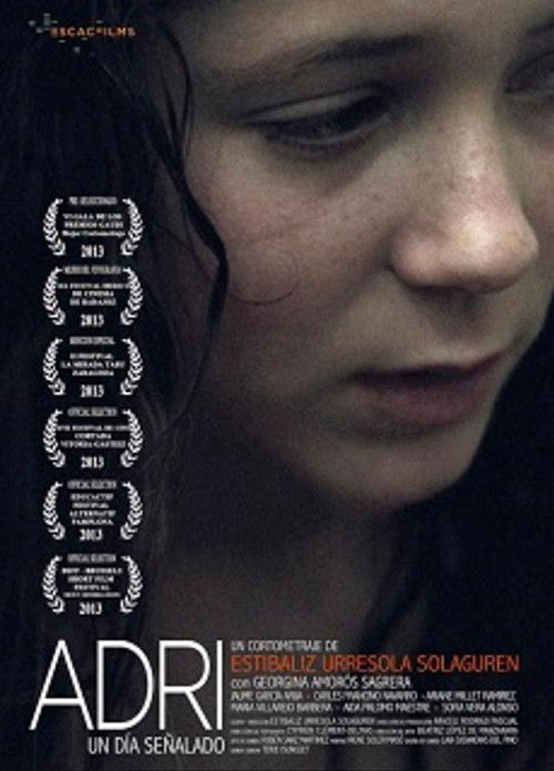 Adri (2013) poster