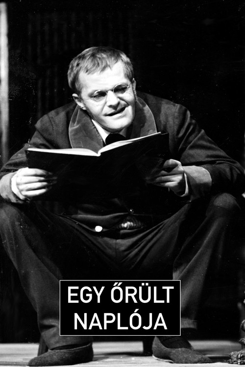 Egy őrült naplója (1977) poster
