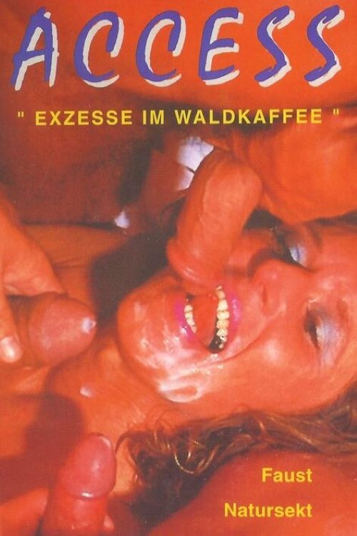 Exzesse im Waldkaffee (1993) poster