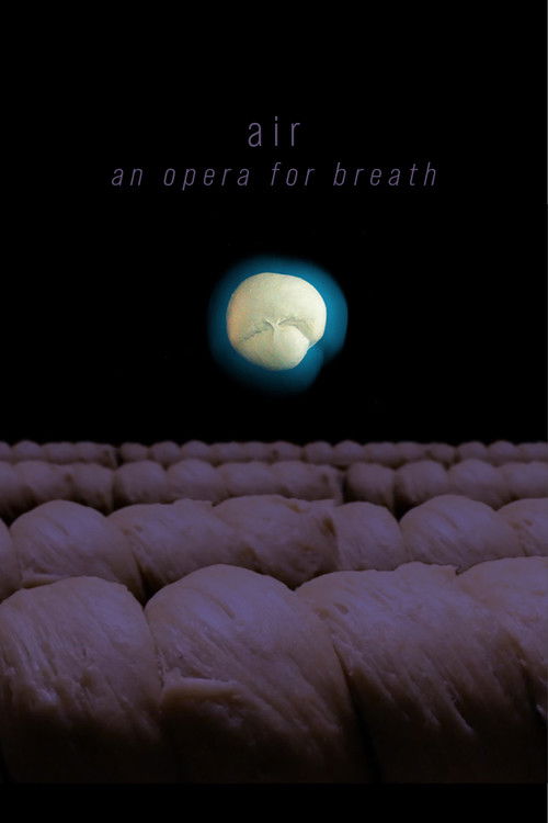 air: an opera for breath (2017) poster
