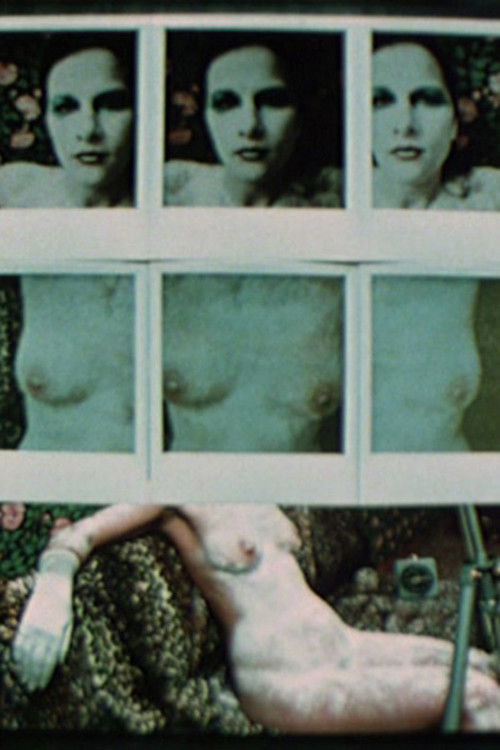 Transformation by Holding Time (Artist with Muse) (1976) poster