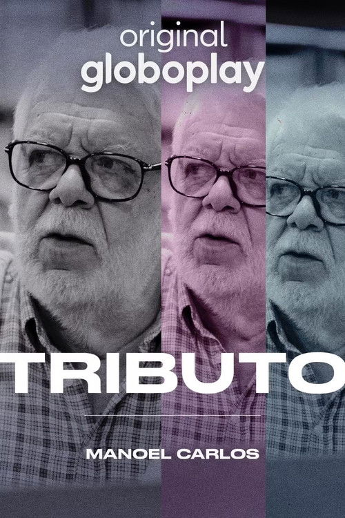 Tributo: Manoel Carlos (2024) poster
