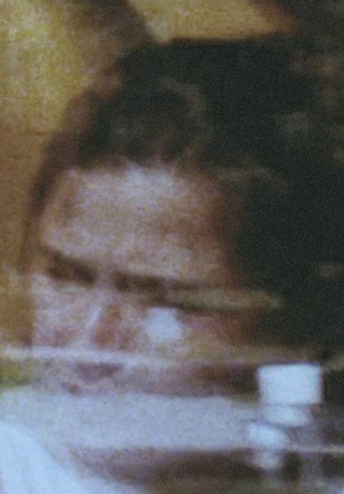 Trains Are for Dreaming (2009) poster