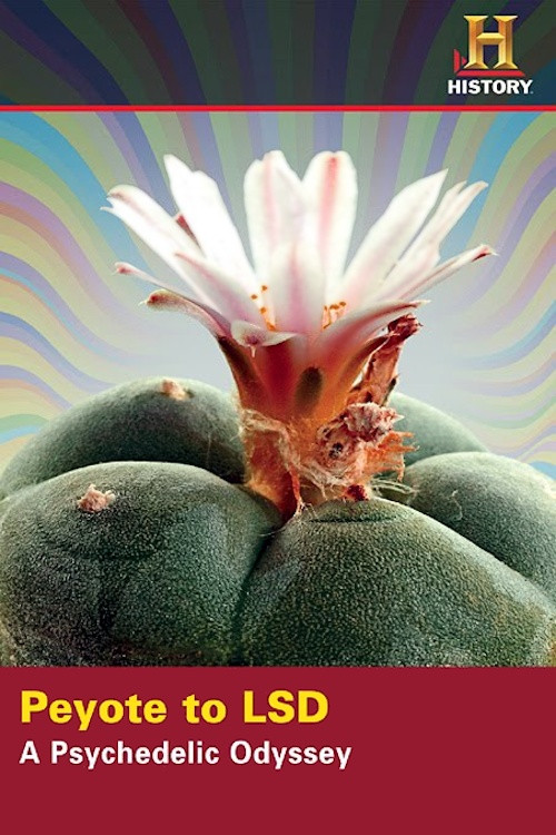 Peyote to LSD: A Psychedelic Odyssey (2008) poster