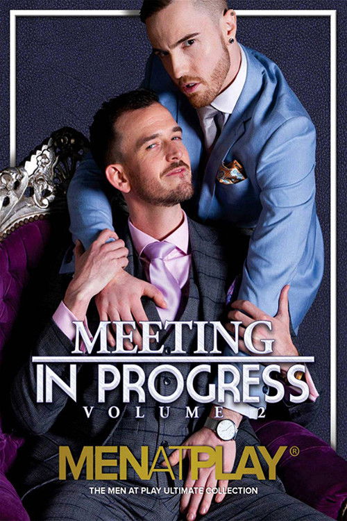 Meeting in Progress 2 (2020) poster