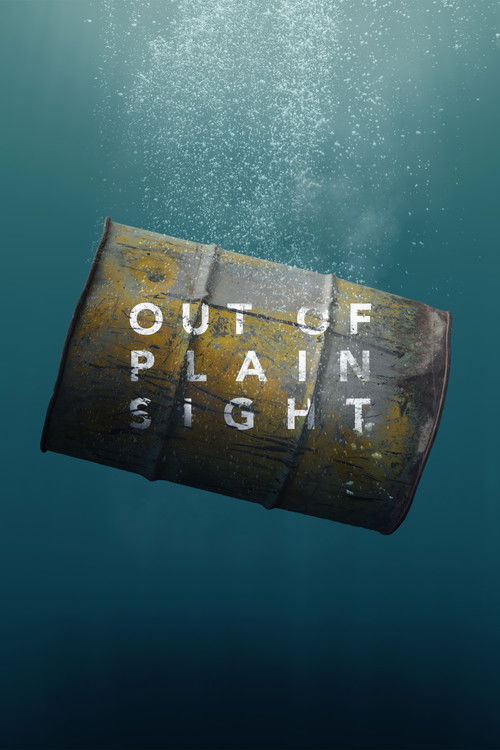 Out of Plain Sight (2025) poster
