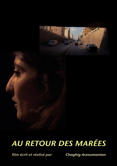 Au retour des marées (2013) poster