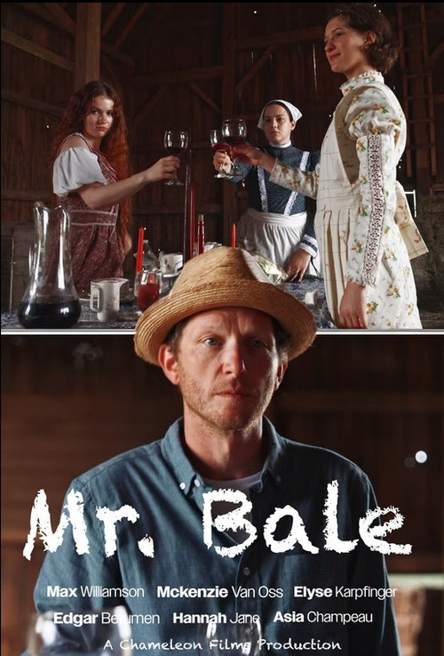 Mr. Bale poster