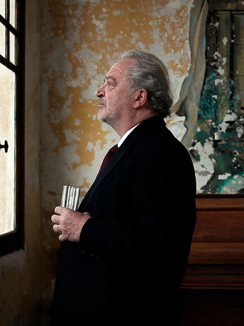 Les fantômes du Belvédère (2021) poster