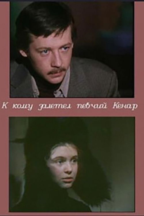 К кому залетел певчий кенар (1980) poster
