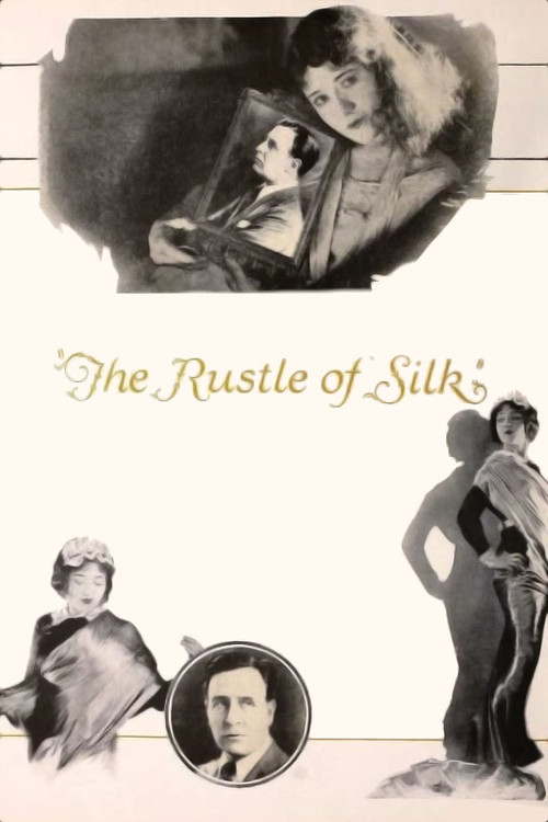 The Rustle of Silk (1923) poster